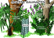SelteneArten