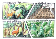 Wildtiere-im-Wald