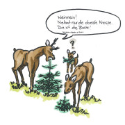 ZueriWald1