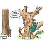 ZueriWald5